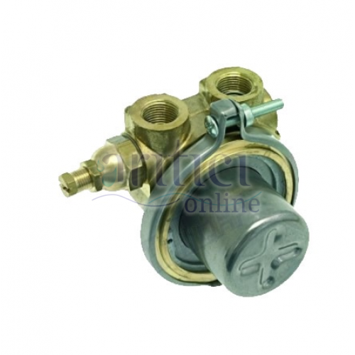 Aqualine İtalyan Rotoflow 1000 L/H Bypasslı Bronz Rotoflow Pompa